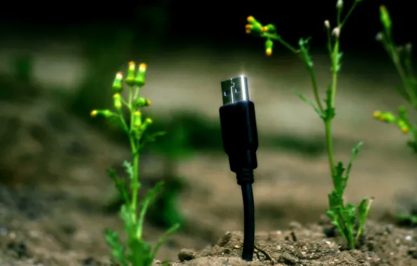 Картинка растения, USB, кабель