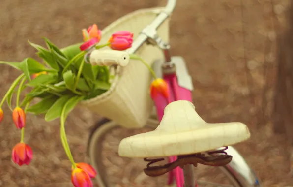 Цветы, велосипед, букет, тюльпаны, bike, flowers, tulips, bouquet