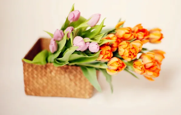 Картинка корзина, тюльпаны, tulips, basket, flowers bouquet, букет цветы