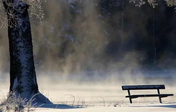Картинка зима, туман, скамья