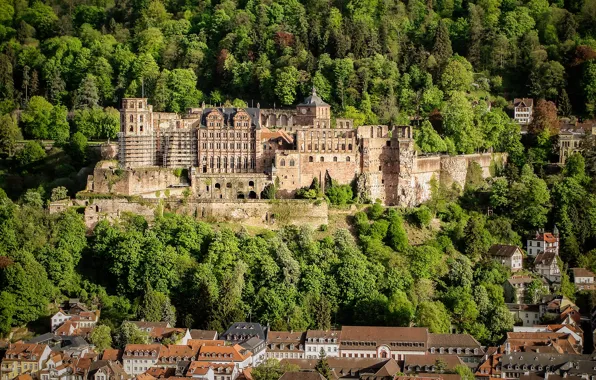 Лес, деревья, замок, дома, Германия, Heidelberg Castle