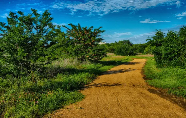 Дорога, солнце, деревья, тень, USA, sky, roads, Texas