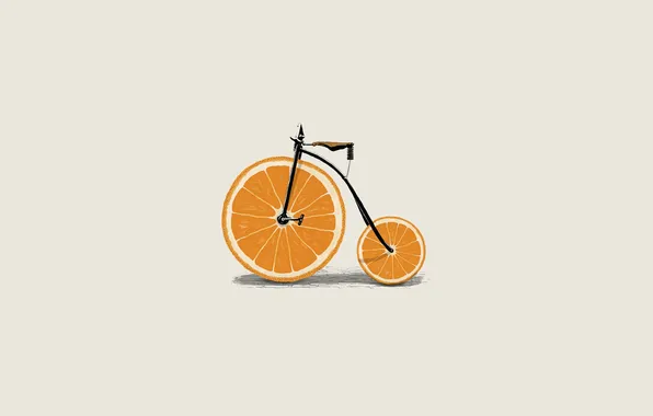 Велосипед, минимализм, белый фон, фрукты, bicycle, иллюстрация, дольки апельсина