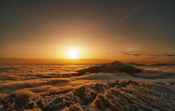 Горы, рассвет, утро, Poland, Bieszczady National Park