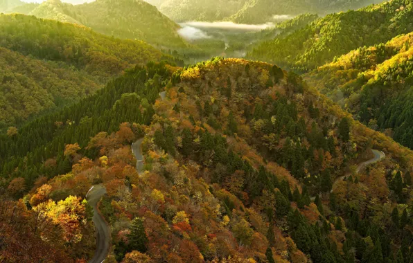 Картинка лес, солнце, облака, деревья, горы, дороги