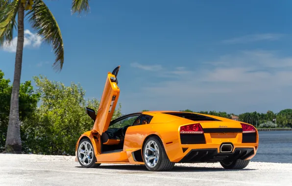 Lamborghini, Murcielago, ламбо двери, Lamborghini Murcielago LP640