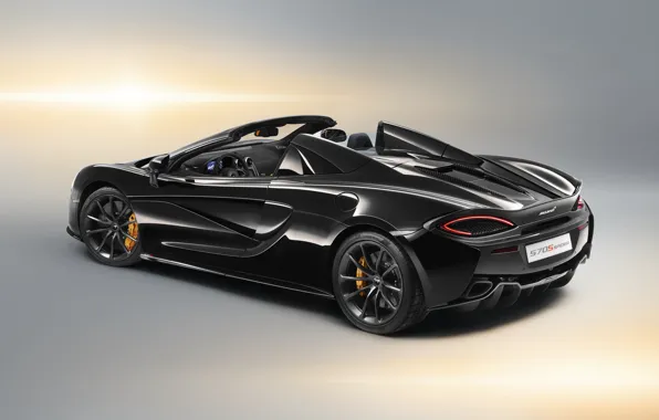 McLaren, вид сзади, 2018, Spider, Design Edition, 570S