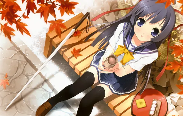 Картинка осень, листья, девушка, скамейка, дерево, чай, еда, лавочка