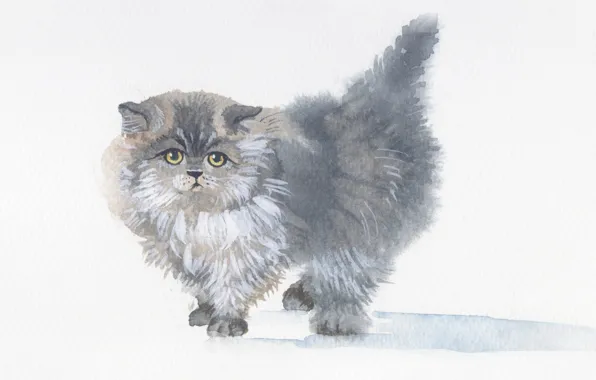 Котенок, серый, картина, пушистый, арт, акварель, живопись