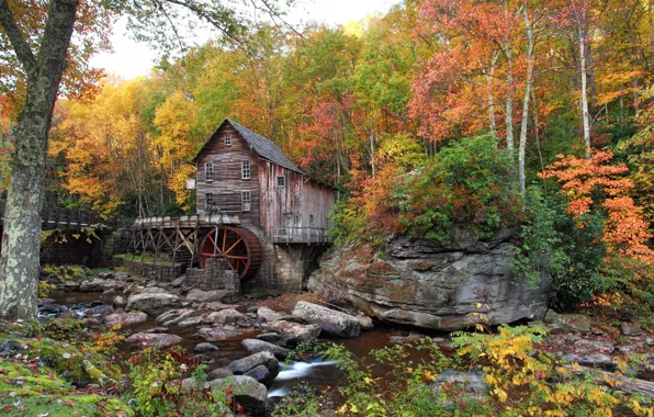 Картинка осень, лес, деревья, ручей, камни, США, Babcock State Park, водяная мельница