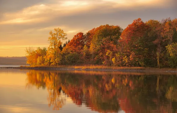 Картинка осень, лес, озеро, отражение