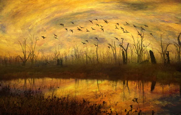 Картинка осень, небо, трава, вода, облака, свет, деревья, полет