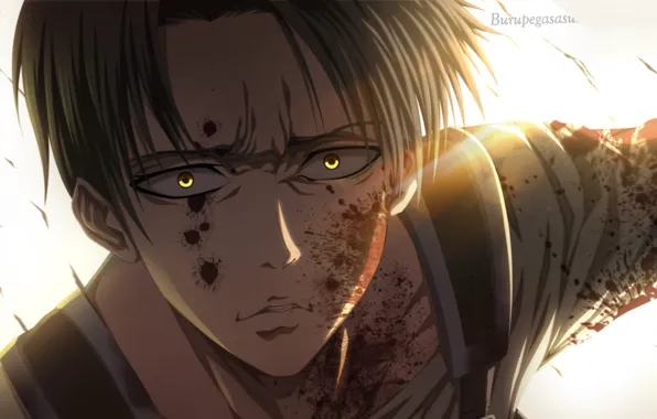 Атака Титанов, Shingeki No Kyojin, капрал Леви