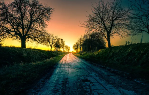 Дорога, небо, свет, деревья, пейзаж, закат, Германия
