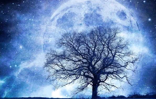 Поле, звезды, ночь, сияние, дерево, планета