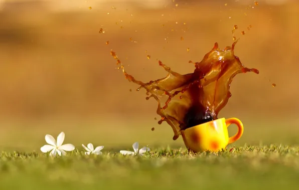 Картинка трава, капли, цветы, брызги, чай, кофе, оранжевая, чашка