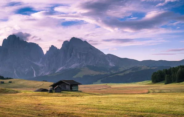 Картинка house, grass, sky, trees, field, landscape, Italy, nature