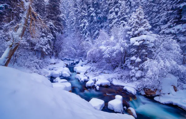 Зима, лес, снег, пейзаж, природа, река, мороз