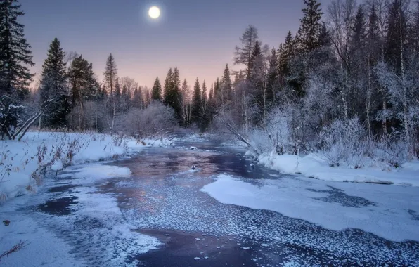 Картинка лед, зима, лес, небо, снег, деревья, пейзаж, закат