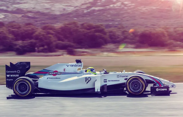 Гонка, спорт, формула 1, болид, formula 1, Williams, Felipe Massa, FW36