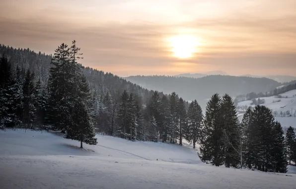 Зима, закат, природа