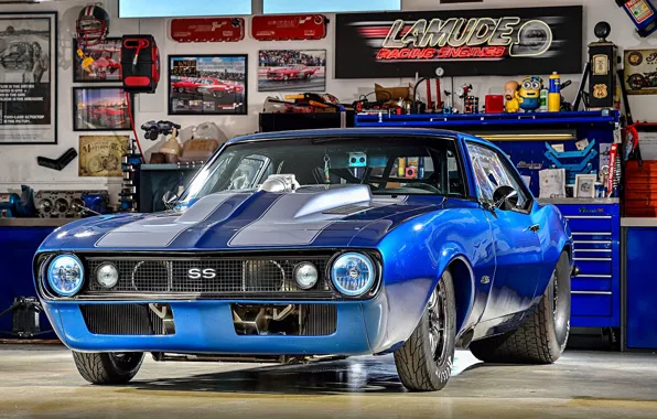 Миньон, Chevelle SS, Калёса, Lamude Paging Engines