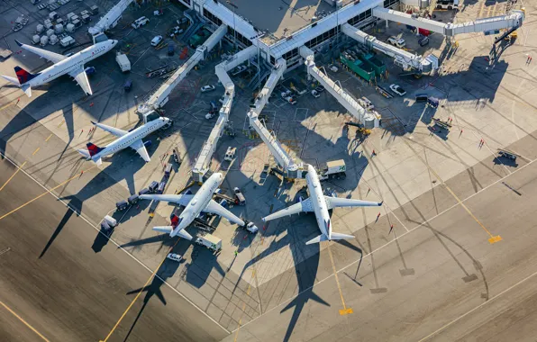 Картинка Los Angeles, International Airport, Delta Terminal