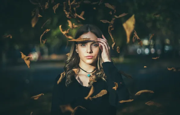 Girl, Autumn, Beauty, Eyes, Blond, Sight