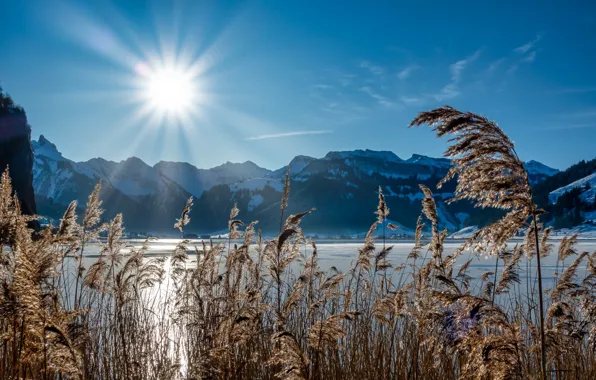 Картинка трава, солнце, лучи, пейзаж, горы, природа, озеро, Швейцария