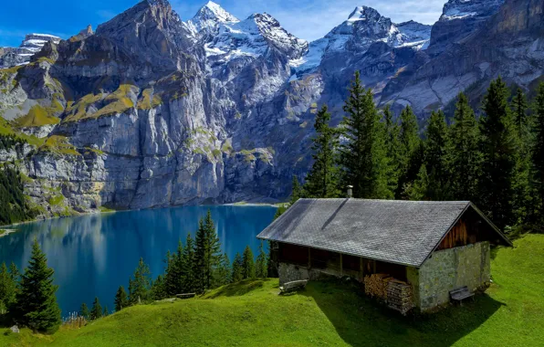 Картинка лес, деревья, горы, озеро, скалы, Швейцария, дрова, домик