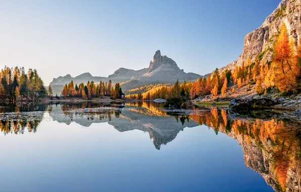 Картинка осень, деревья, горы, озеро, отражение, Италия, панорама, Italy