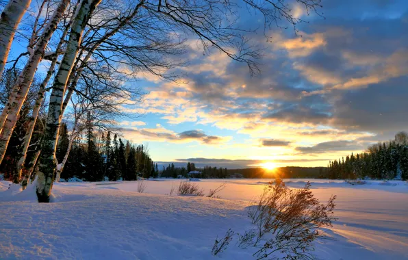 Картинка зима, лес, солнце, лучи, снег, деревья, пейзаж, закат