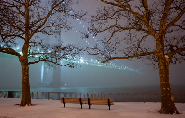 Картинка снег, деревья, мост, огни, туман, парк, вечер, скамейки