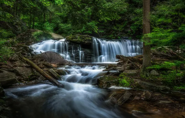 Лес, природа, река, водопад, Ricketts Glen