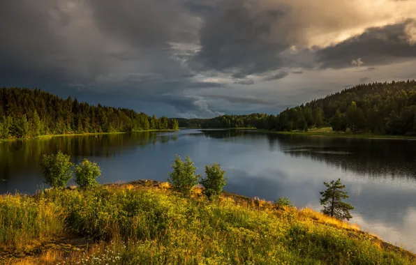 Картинка деревья, пейзаж, природа, река