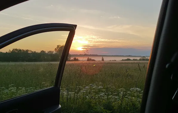 Закат, Солнце, Небо, Облака, Туман, Трава, Деревья, Куст