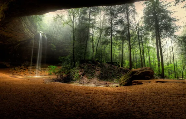 Картинка лес, скала, водопад, панорама, грот