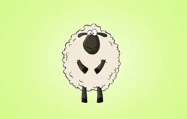 Картинка животное, светлый фон, sheep, овца, изумительный взгляд