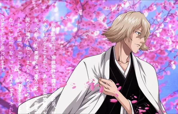 Лепестки, мужчина, Bleach, Блич