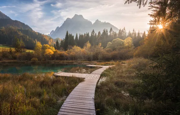 Картинка осень, лес, горы, озеро, мостки, Словения, Slovenia, Lake Zelenci