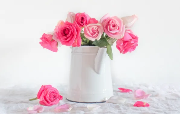 Розы, лепестки, чайник, белый фон, розовые