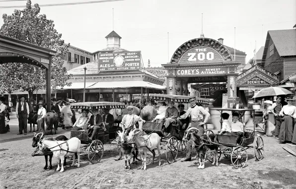 Картинка ретро, США, зоопарк