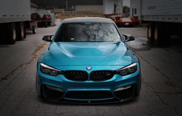 Картинка BMW, Blue, Front, Face, F80, Sight