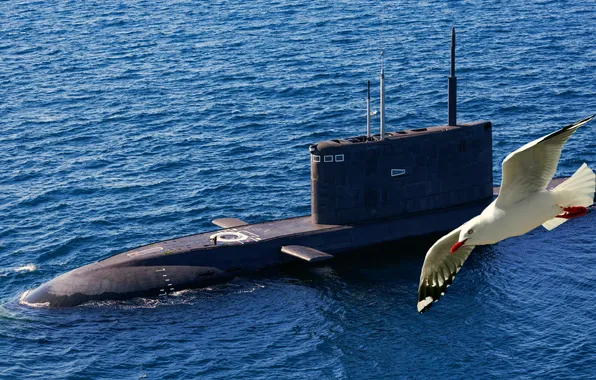 Подводная лодка, проект 636.3, дизель-электрическая