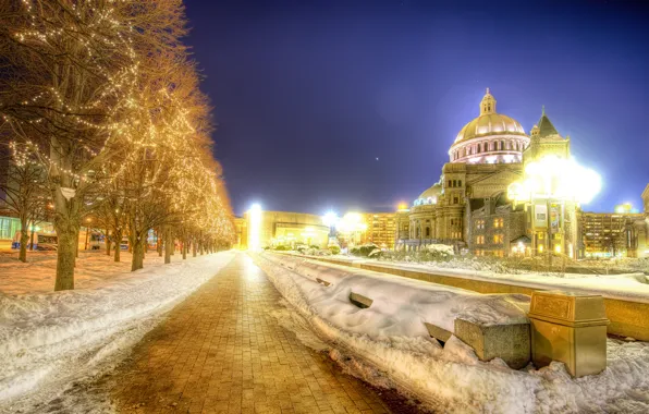 Картинка снег, деревья, ночь, огни, Boston, Night