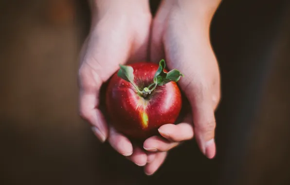 Красное, яблоко, руки