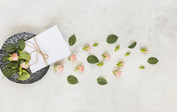 Розы, бутоны, конверт, Romantic