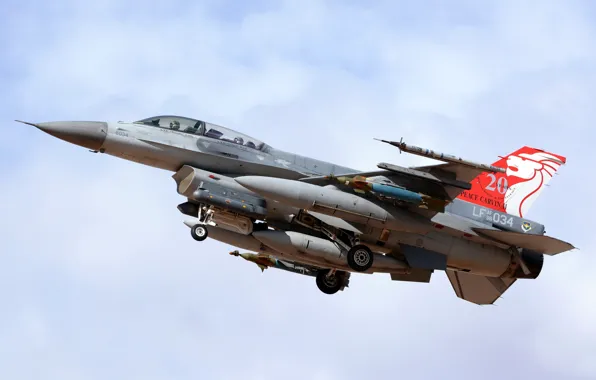 Картинка оружие, самолёт, F-16D