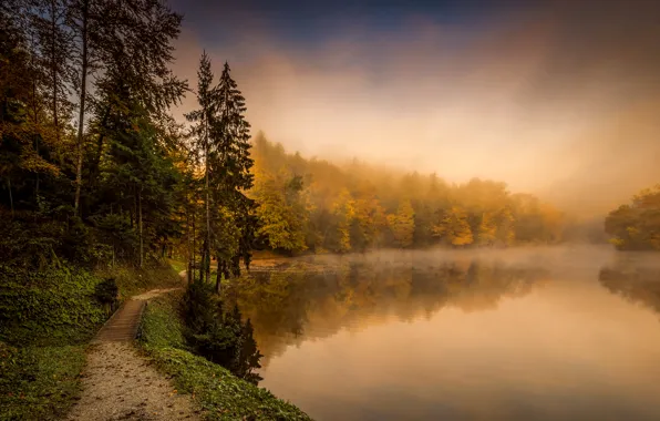 Картинка осень, лес, деревья, туман, озеро, тропинка, Хорватия, Trakoscan