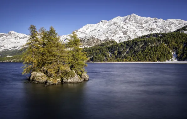Снег, деревья, горы, озеро, остров, Switzerland, Lake Sils, Upper Engadin